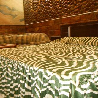Hotel Shankar Palace, Katra 4